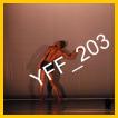 YFF_203