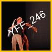 YFF_246