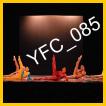 YFC_085