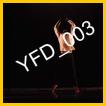 YFD_003