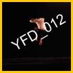 YFD_012