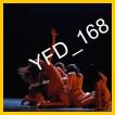 YFD_168