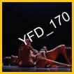 YFD_170