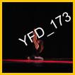 YFD_173