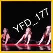 YFD_177