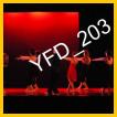 YFD_203