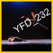 YFD_232