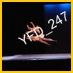 YFD_247