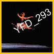 YFD_293