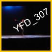 YFD_307