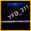 YFD_311