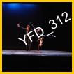 YFD_312