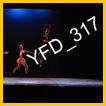 YFD_317