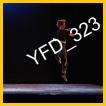 YFD_323