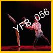 YFB_056