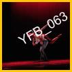 YFB_063