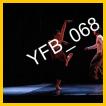 YFB_068