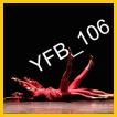 YFB_106