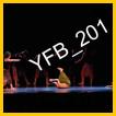 YFB_201