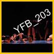 YFB_203